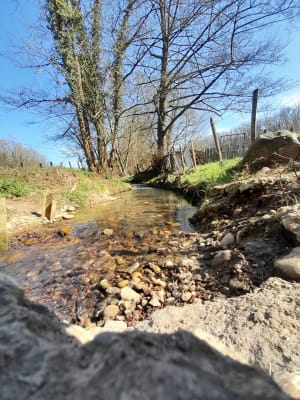 Balade sur Saint Clair du Rhône et Saint Prim. - Gaëlle - 13