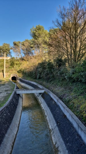 Sur les hauteurs de Simiane - Simiane-Collongue - 8