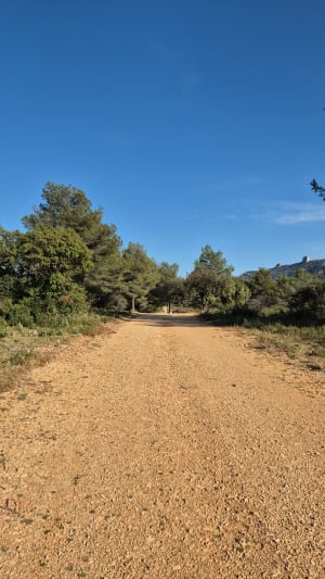 Sur les hauteurs de Simiane - Simiane-Collongue - 9