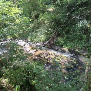 Saint-Diéry ses alentours et la  roche aux Fées - Saint-Diéry - 20