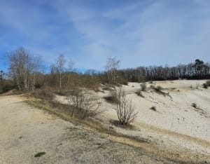 Balade en forêt de Cheptainville - Cheptainville - 4
