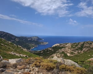 Het Oostenrijkse kruis van Onze Lieve Vrouw van de Serra - Calvi - 28