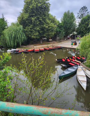 Balade dans le Marais Poitevin depuis Maillezais (avec détour point de vue) - Maillezais - 14