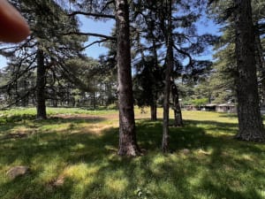 Bergerie de Luvviu et Monte Calva - Zonza - 11