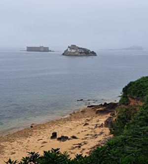 Tronçon GR34 de Carantec, par la Pointe de Penn al Lann - Soso - 28