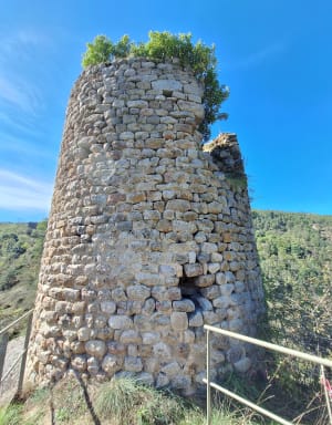 Tour d'Oriol et gorges de la Semène - Saint-Paul-en-Cornillon - 6