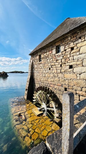 Ongelofelijk Île-de-Bréhat op de fiets - Île-de-Bréhat - 16