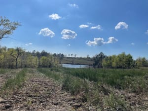 Visite de Chamadelle et ses jolis sous-bois - Chamadelle - 4