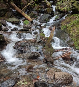 De grote waterval van Mont-Dore en zijn onweerstaanbare charme - Mont-Dore - 53