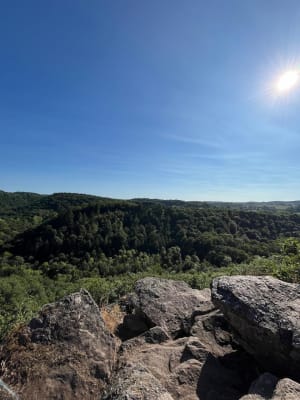 La Roche d'Oëtre et la Rouvre par le sentier des méandres - Saint-Philbert-sur-Orne - 9