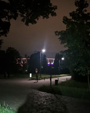 Park Śląski w Chorzowie - zielony zakątek w centrum miasta - Chorzów - 2