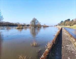 Balade entre Loire et canal d'Orléans - Orléans - 6