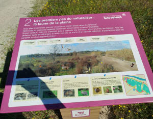Balade autour des deux lacs de Savignac - Cazouls-lès-Béziers - 3