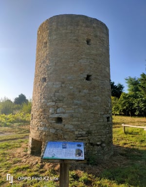 Bourgenay, port, plage du Veillon, marais - valerie - 19