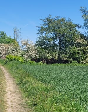 Promenade aux alentours de Béthune. - Béthune - 7