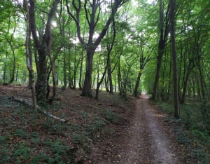 VTT vallée de la Risle - Brionne - 2