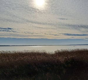 Entre mer et terre à Vendres - Vendres - 22