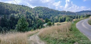 Rando sur les hauteurs du lac de Lamoura - richard - 11