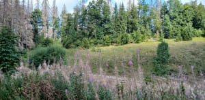 Rando sur les hauteurs du lac de Lamoura - richard - 12