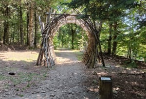 Balade entre forêts et pelouses de l'Aigoual - Val d'Aigoual - Mont Aigoual - 8