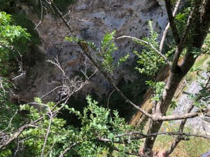 Druise waterval en sensuele Omblèze kloven - Omblèze - 15