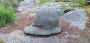 Bestorming van de Franchard Gorges en vreemde rotsen - Fontainebleau - 34