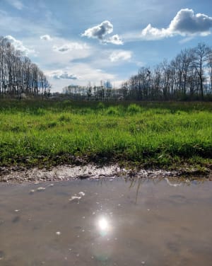 Entre champs et forêt par Petit Charmot depuis Villers-les-Pots - Villers-les-Pots - 5