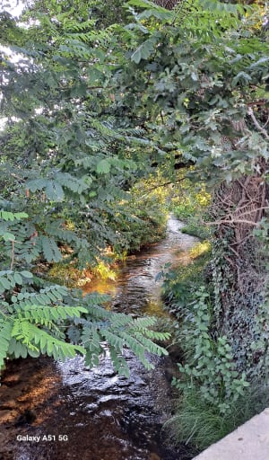 Balade familiale à l'étang de Bachous - Villelongue-Dels-Monts - 11