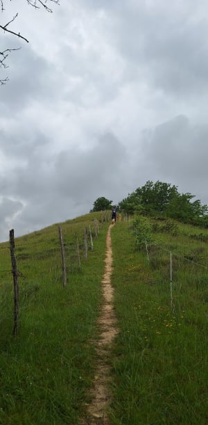 Sentier de l’ail - Lautrec - Béatrice - 10