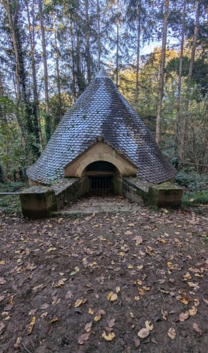 Bain de forêt à Eveux et autour du couvent de la Tourette - Eveux - 5