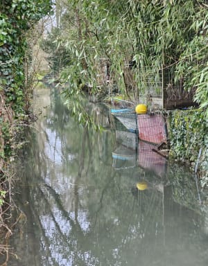 Marais poitevin - Niort - 5