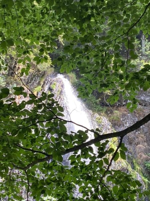 Echappée belle à la Cascade du Rossignolet - Mont-Dore - 6