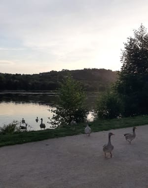 Tout du lac Kir - Dijon - 4
