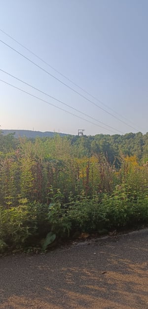 Tour de la Carrière Simon - Forbach - 10