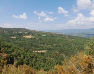 Depuis Castellet, le Mourre Niègre et son panorama - Celine - 2