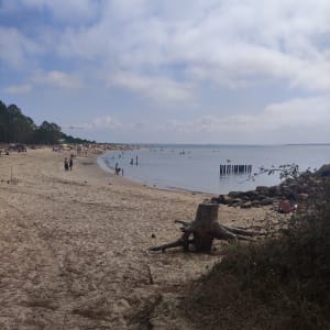 Pointe de Gatseau, sur un air du bout du monde - Saint-Trojan-les-Bains - 6