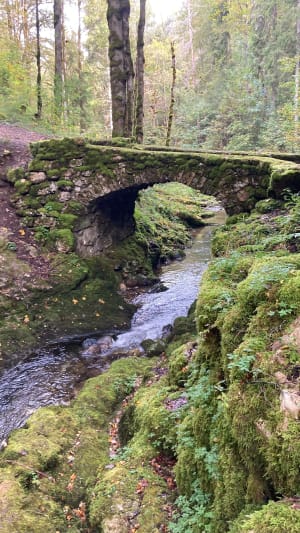 Des Rousses à la cascade de brief au Pont Perraud - Les Rousses - 7