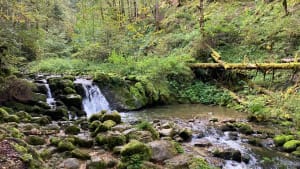 Des Rousses à la cascade de brief au Pont Perraud - Les Rousses - 9