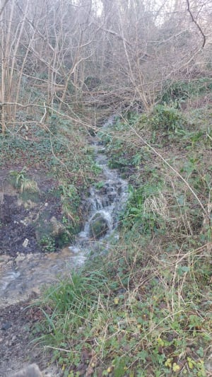 Wandeling Biville/Vauville/Biville - La Hague - 17