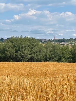 Entre rivière Tarn et ruisseau Pontous - Villemur-sur-Tarn - 3