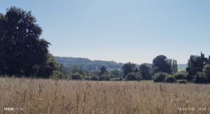 Balade tranquille dans la forêt à Villers en Arthies - Villers-en-Arthies - 8