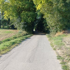 De Landser à Bruebach, petite randonnée bucolique. - Landser - 5
