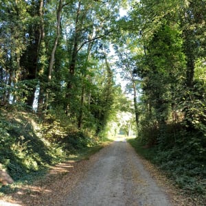 De Landser à Bruebach, petite randonnée bucolique. - Landser - 6