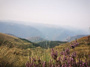 Monts d'Olmes (1492) - Col de Cadène (1952) - Pic du Han - Montferrier - 5