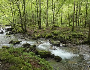 Cascade d'Arcouzan par la Vallée d'Estours - Seix - 7