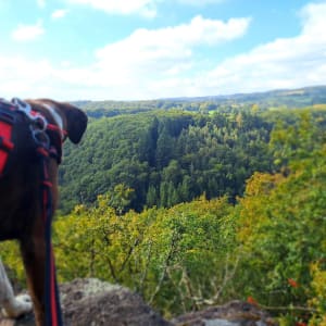 Sentier du granite à Bréel - Tiffany - 15