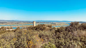 Abbaye St-Roman et Pic de l'Aiguille - Beaucaire - 12