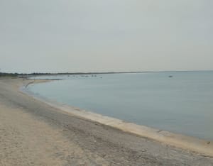 Île de Noirmoutier, entre Barbâtre et la Pointe du Devin... - Damien - 7