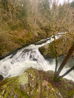 Boucle de la cascade de la Doue de l'Eau et du Saut de l'Ognon - Servance-Miellin - 37