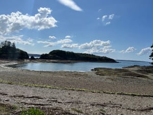 Pointe et Îles du Bendy - Logonna-Daoulas - 39